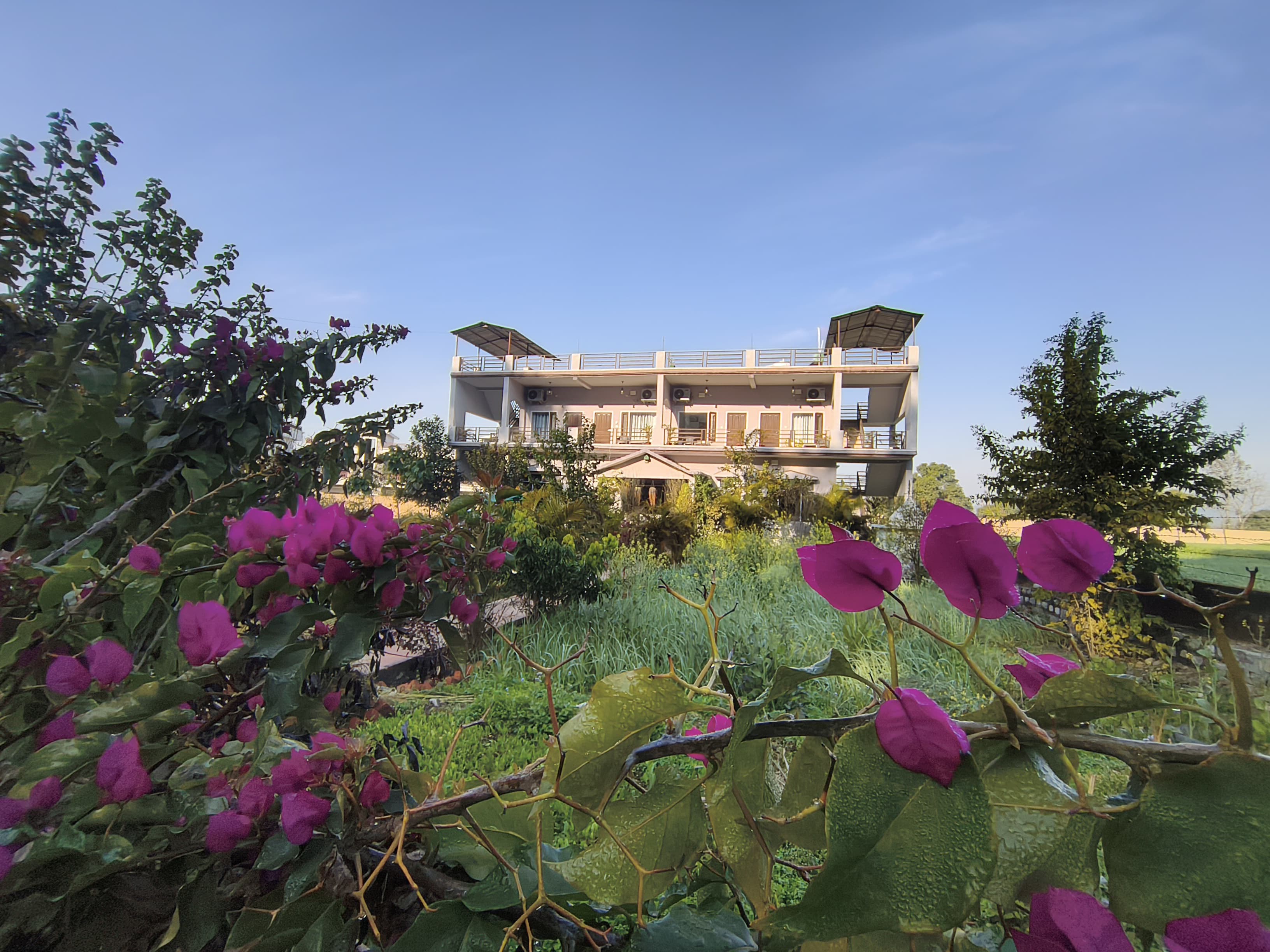 Sparrow nest corbett home stay