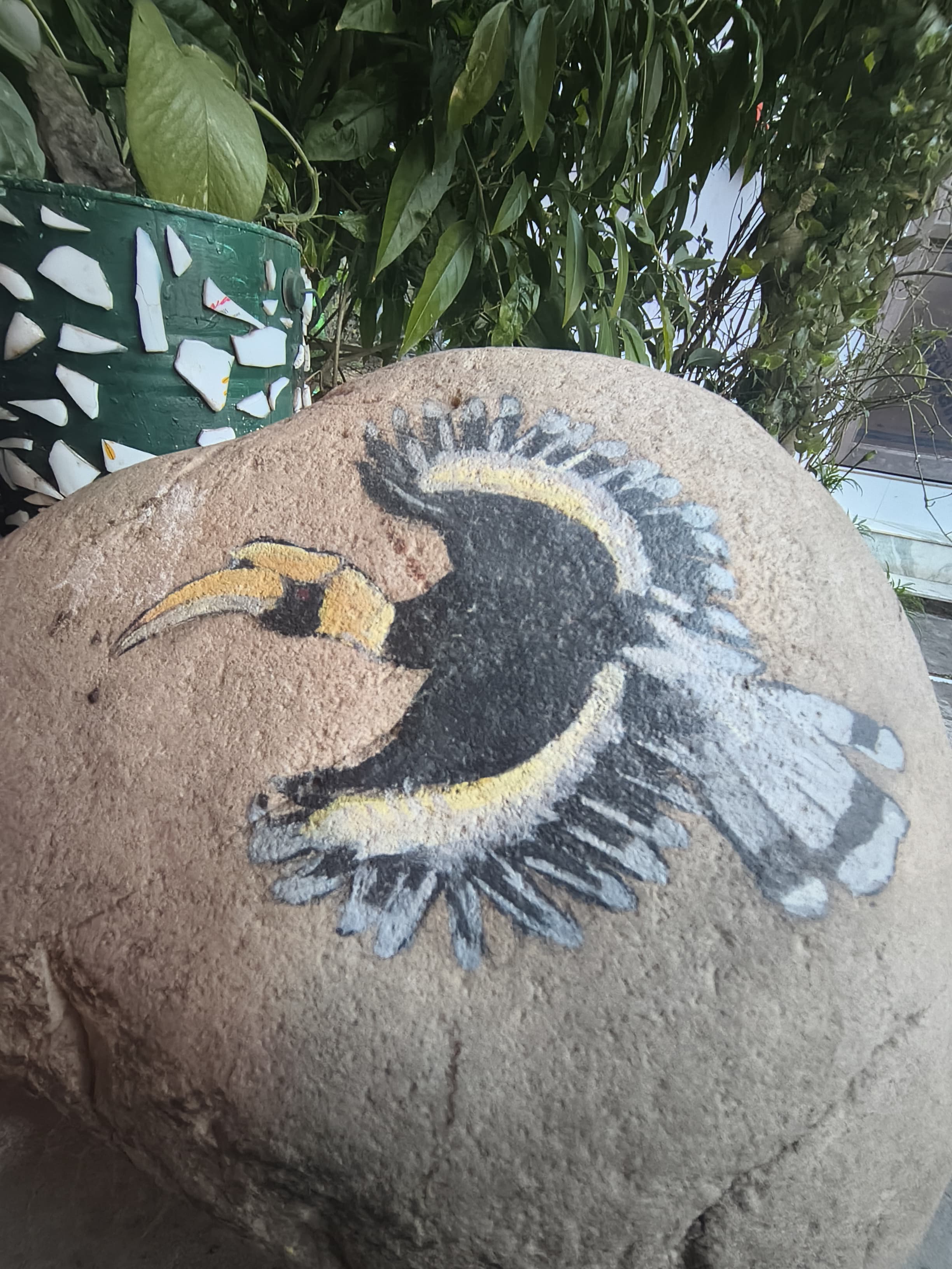 Sparrow nest corbett home stay