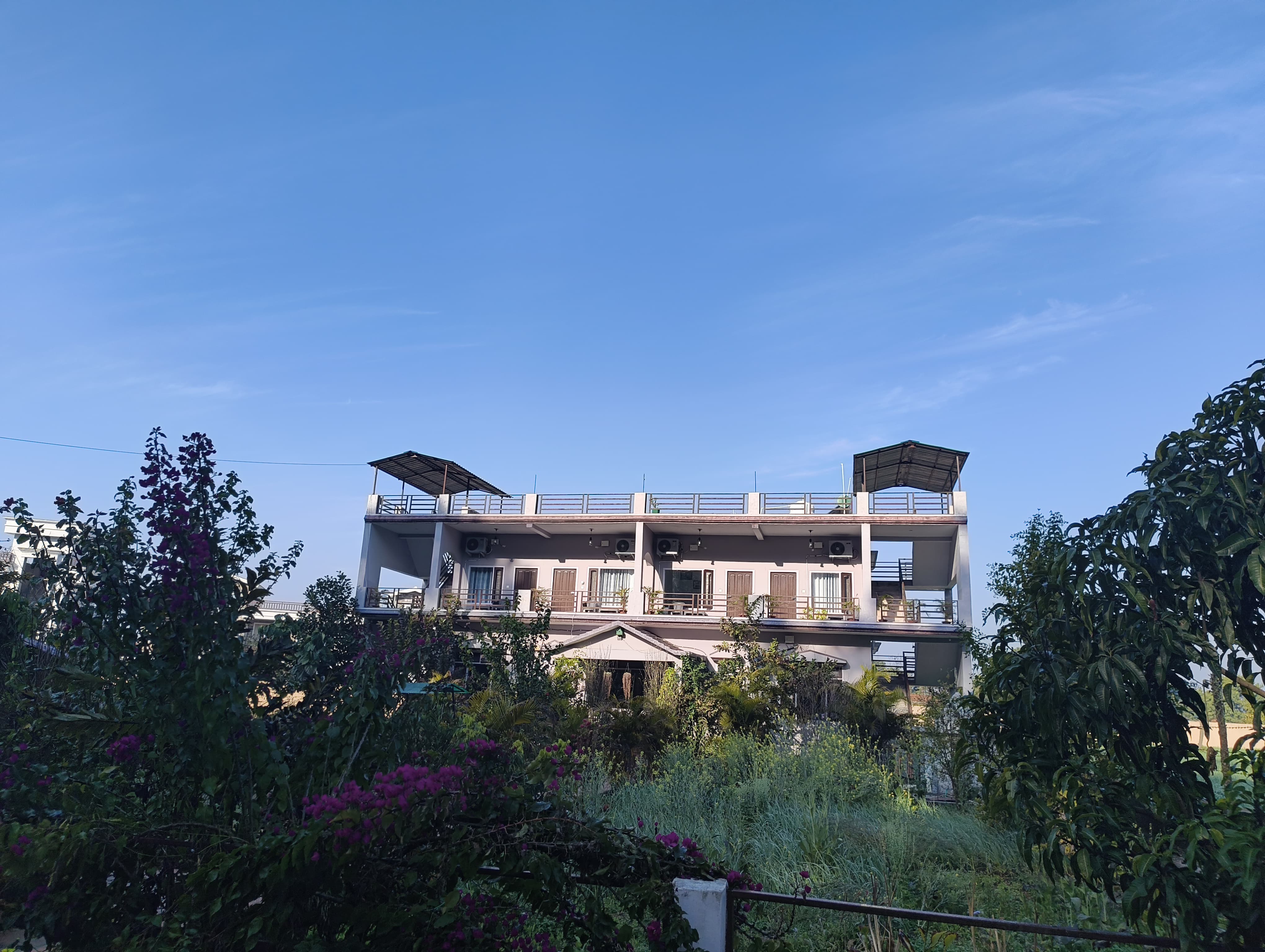 Sparrow nest corbett home stay