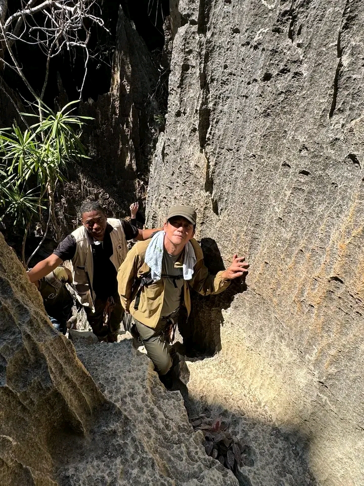 Elie jean RAKOTONIRINA