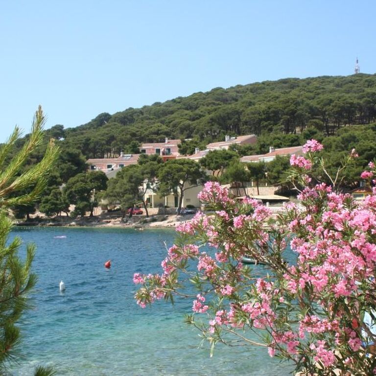 Ruzmarin