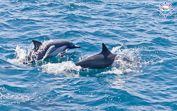 Star Of The Sea Tourism