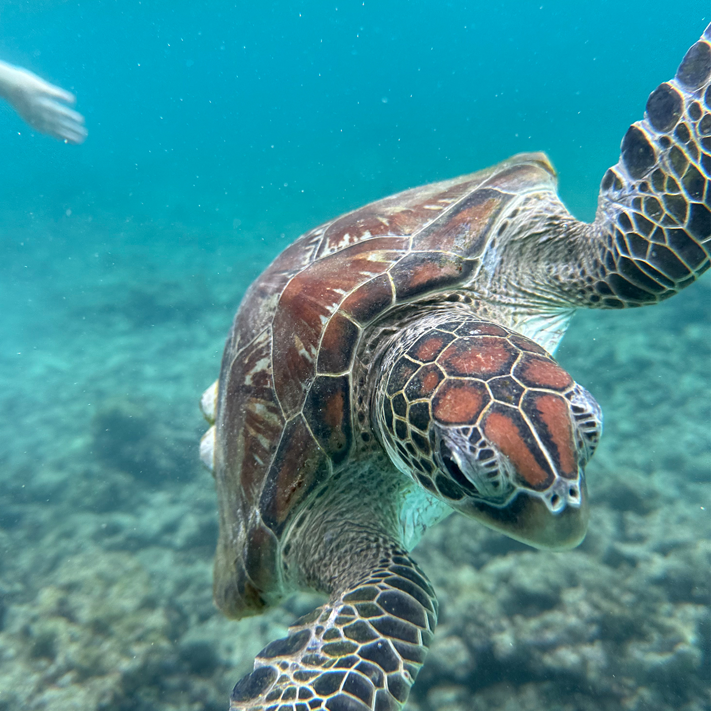 Star Of The Sea Tourism