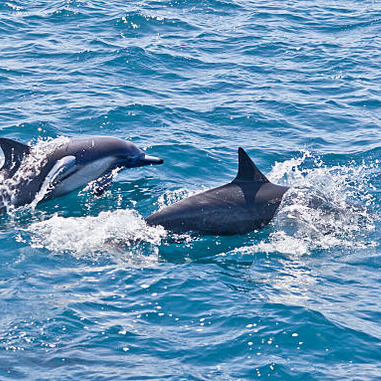 Star Of The Sea Tourism