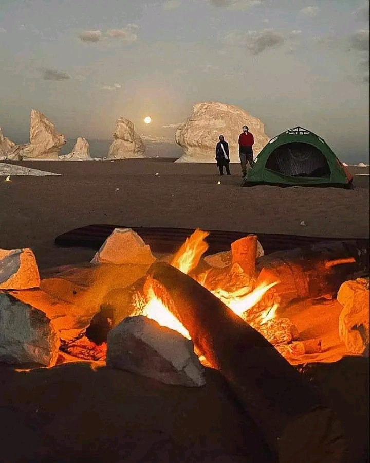 Mohamed atwa safari