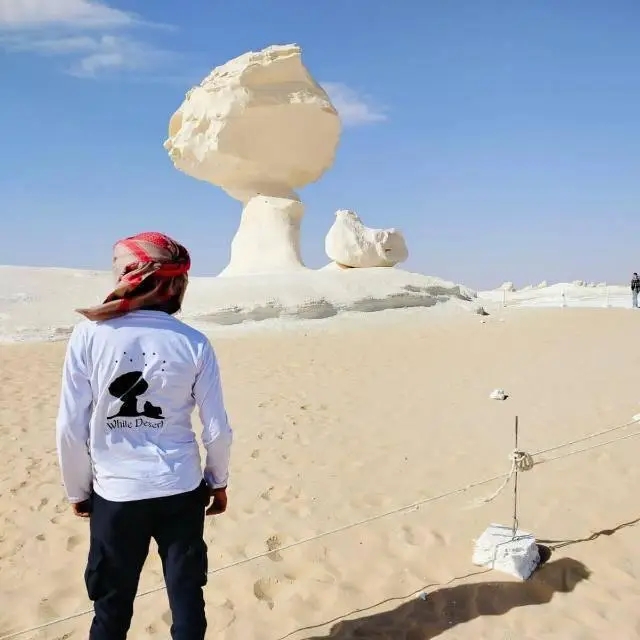 Mohamed atwa safari