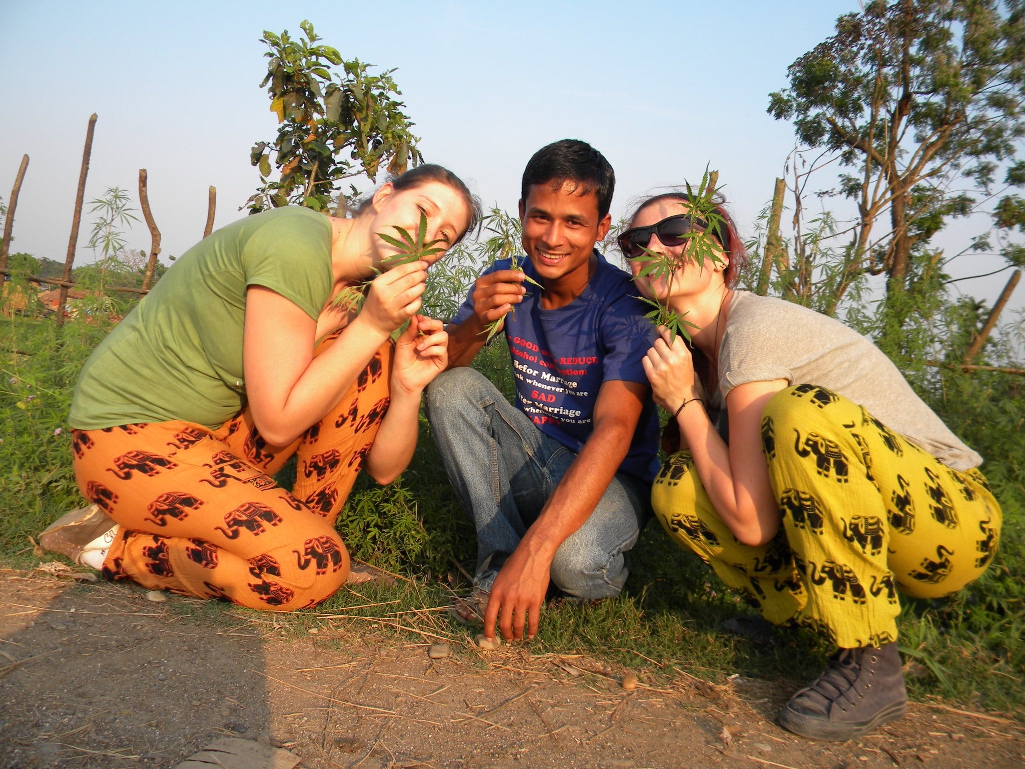 Hotel sauraha safari resort