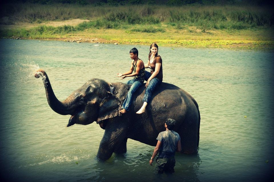 Hotel sauraha safari resort