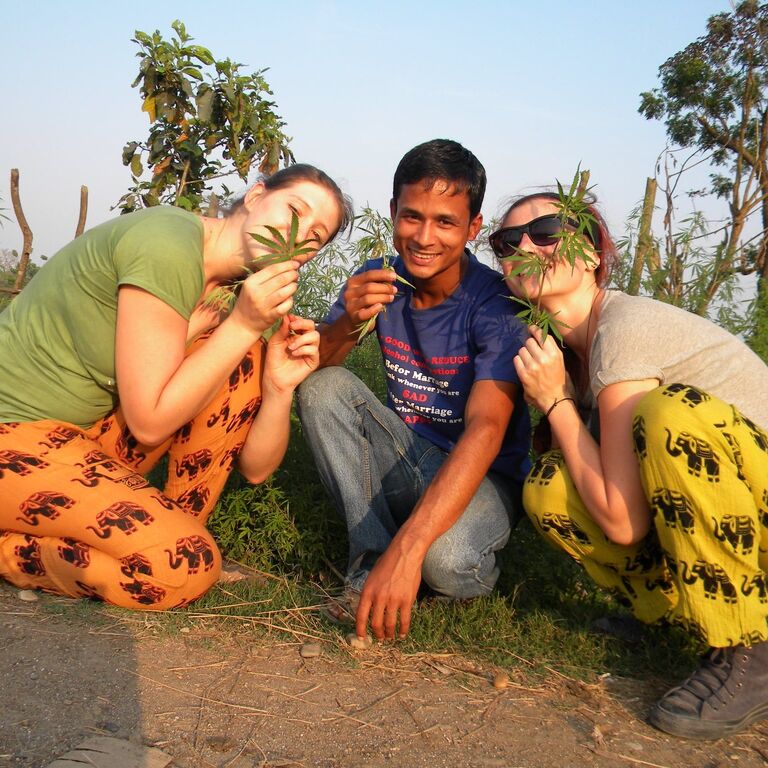 Hotel sauraha safari resort