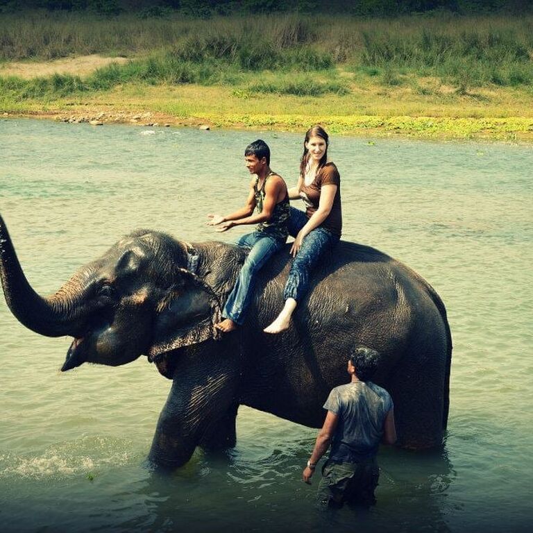 Hotel sauraha safari resort