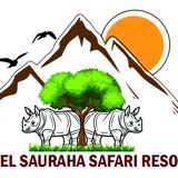 Hotel sauraha safari resort