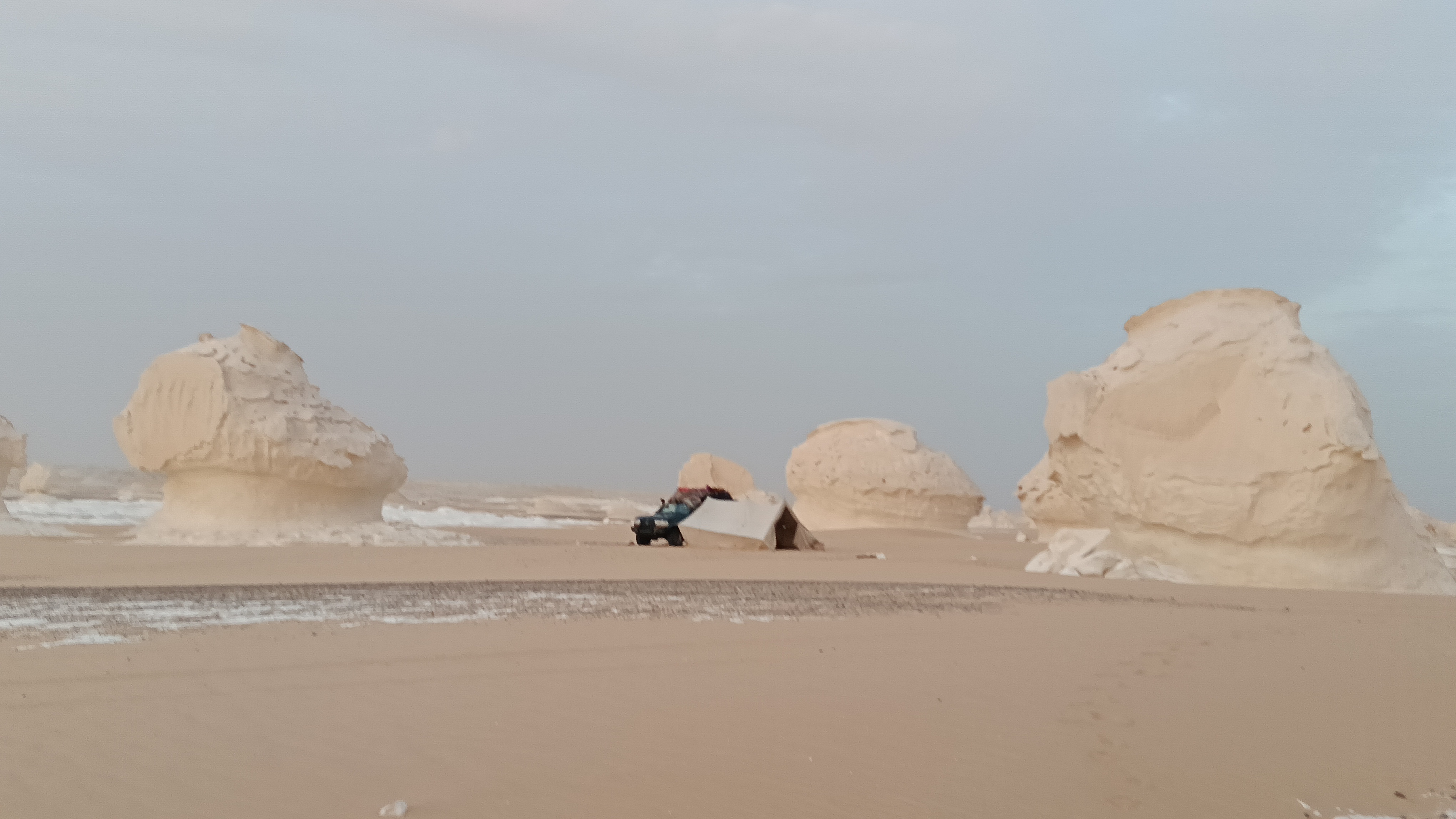 Mohamed Elnahass