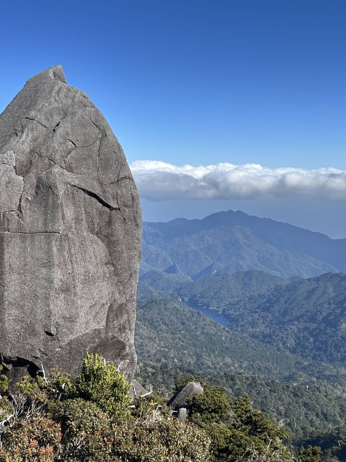Yamakara Yakushima