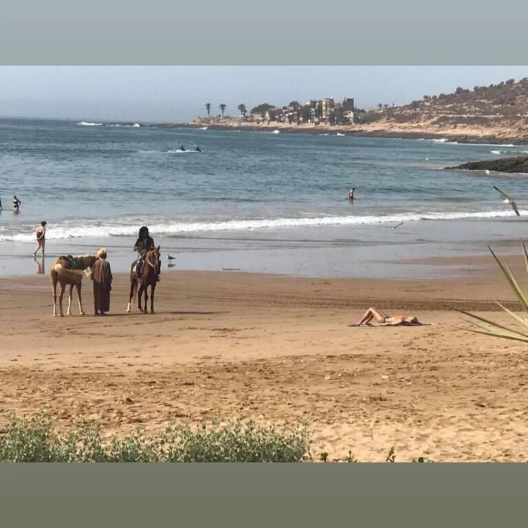 Surfwavesmorocco