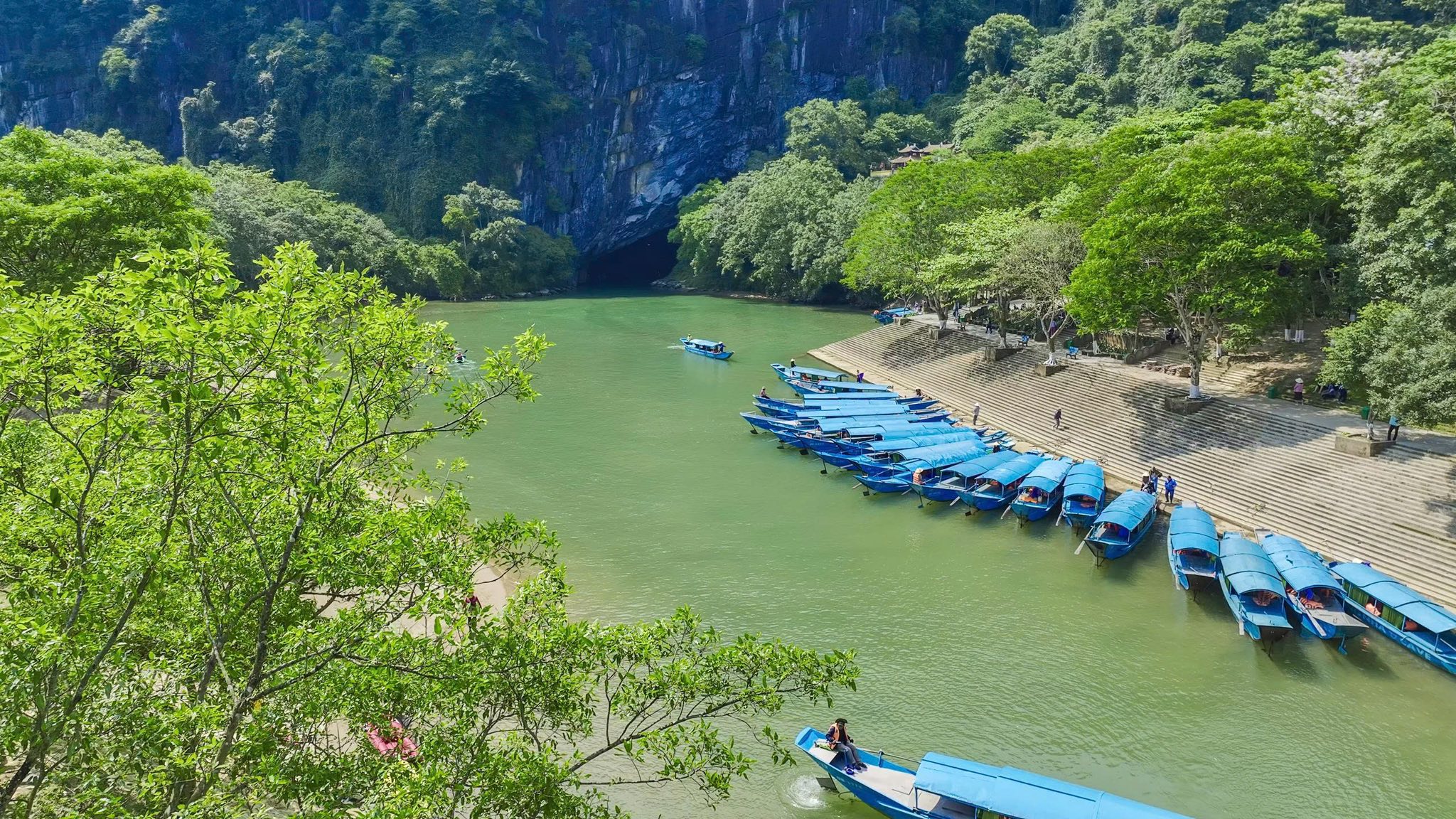 PHONGNHA DISCOVERY TOURS