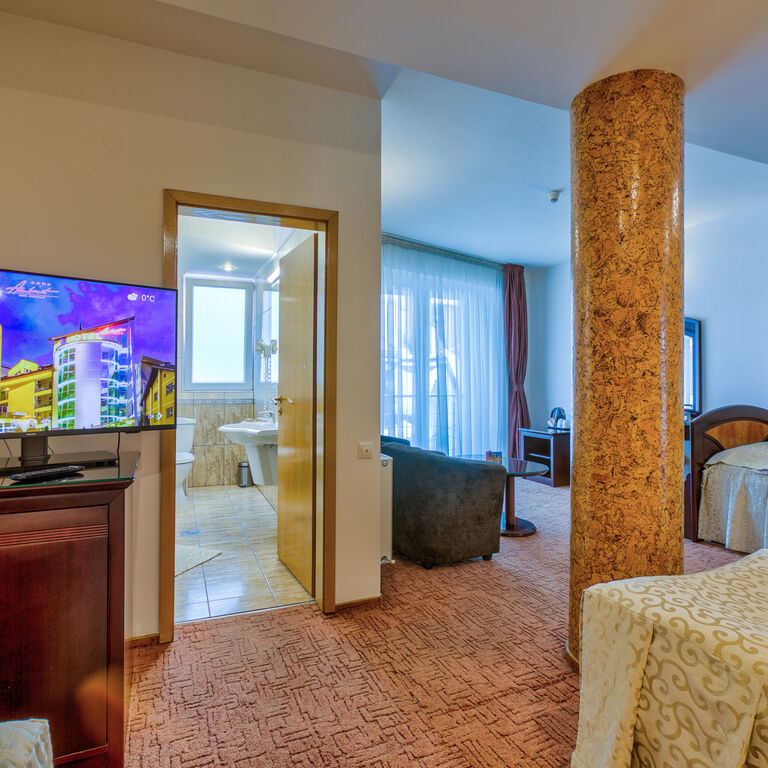 Hotel Ambient