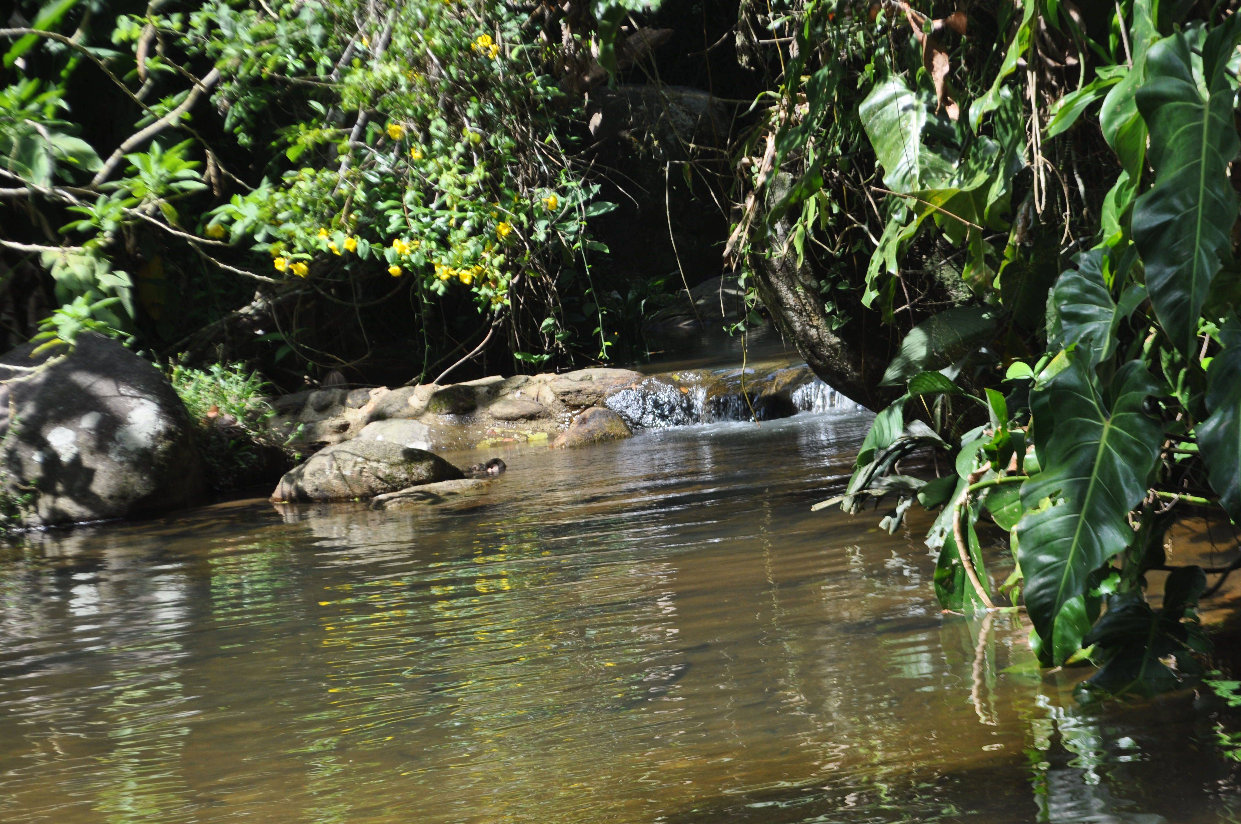 ROQUE ANTONIO GONZALEZ MENORET
