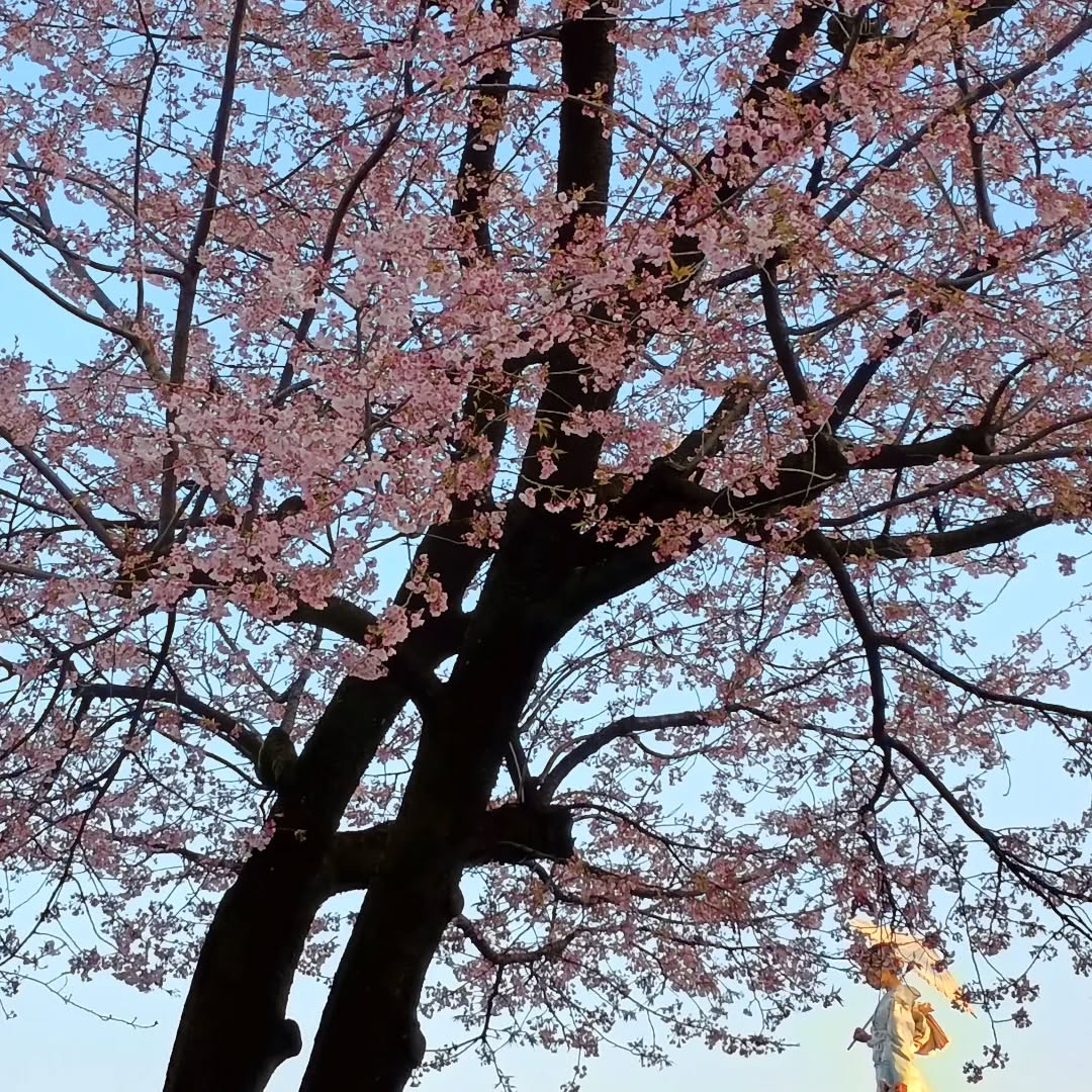 Momoko Kobayashi