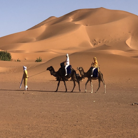 Sahara Desert Kingdom