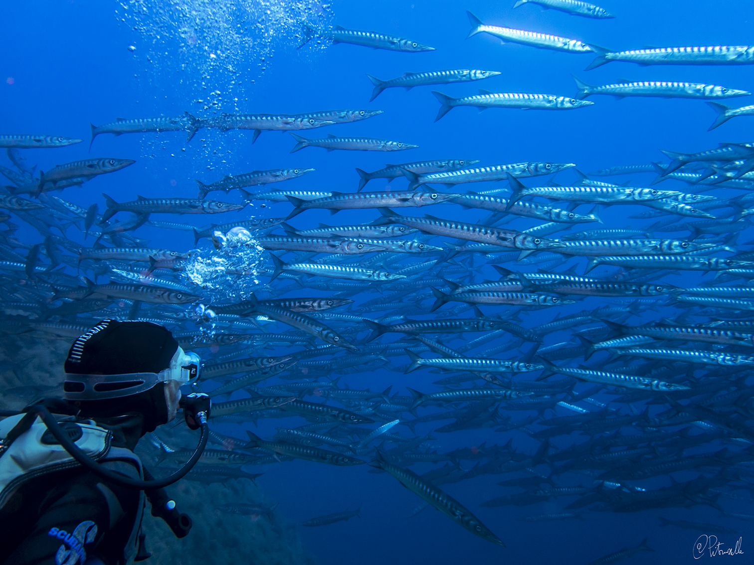 Diving Center Ustica