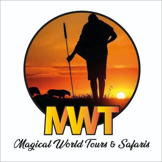 MAGICALWORLDEXPLORESAFARI LTD