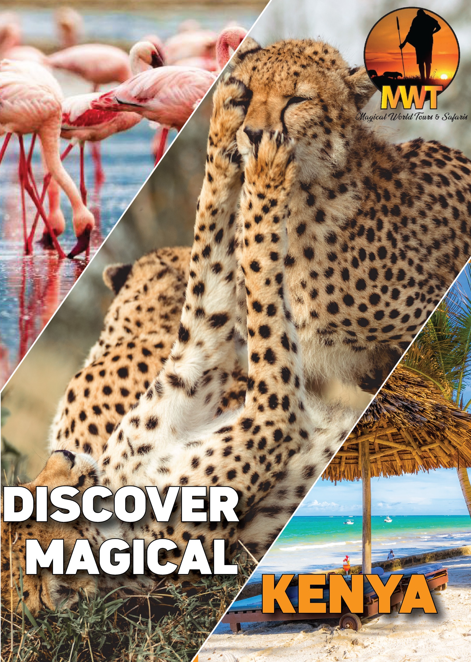 MAGICALWORLDEXPLORESAFARI LTD