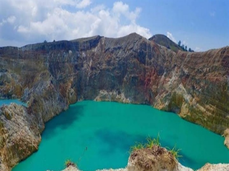 NW Floresia Travel