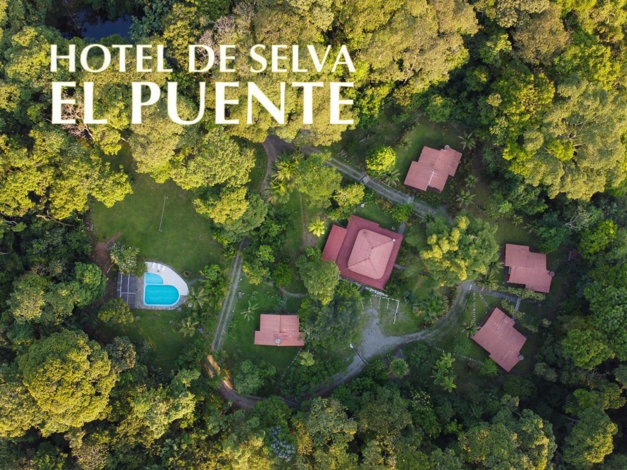 Hotel de selva EL PUENTE