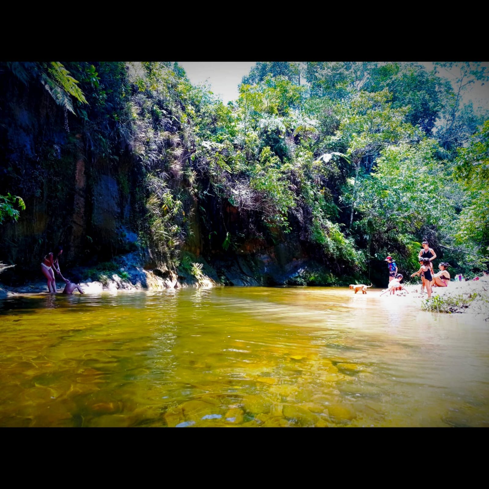 Hotel de selva EL PUENTE