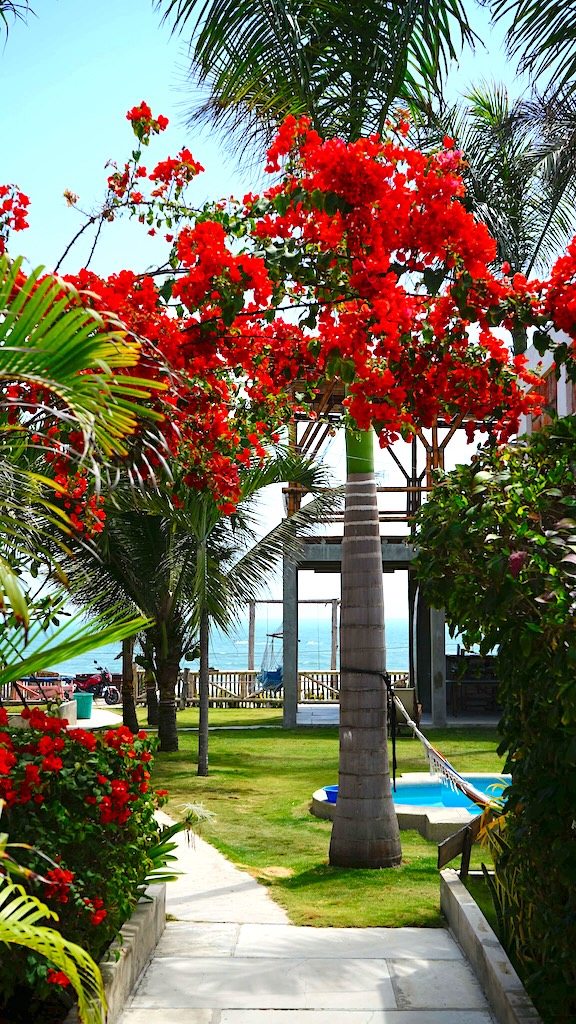 Free Spirit hostel Ecuador