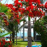 Free Spirit hostel Ecuador