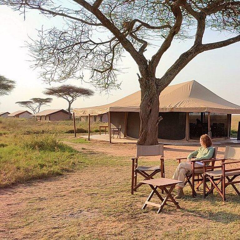Chaz Tours and Travel