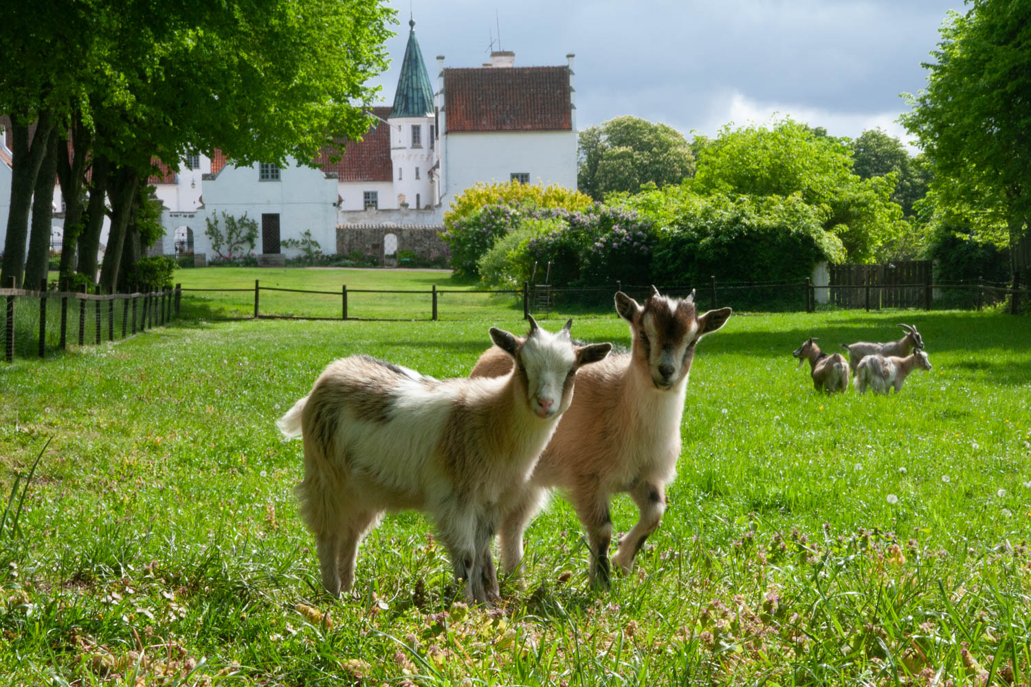 Bosjökloster Castle & Gardens