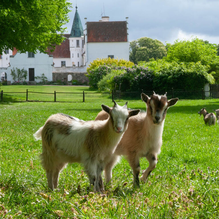 Bosjökloster Castle & Gardens