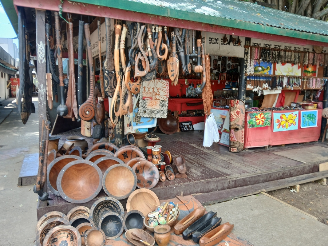 Travel Adventures Fiji