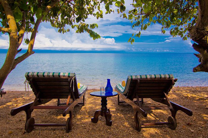 Gombe wild chimp safari