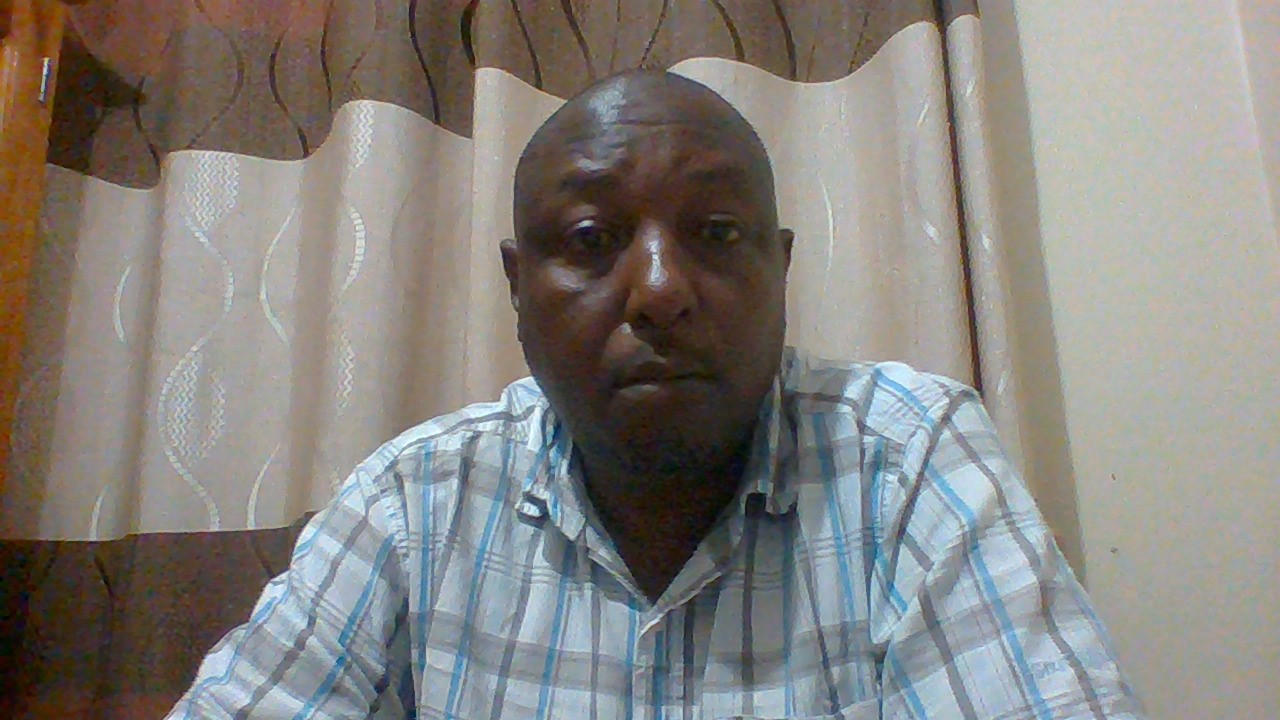 Gombe wild chimp safari