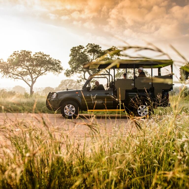 Nhongo Safaris