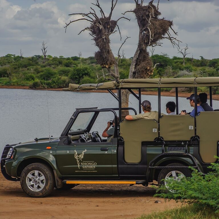 Nhongo Safaris