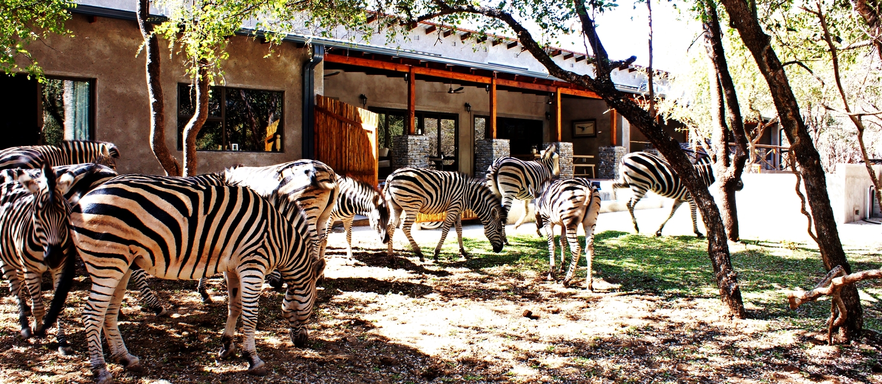 Dream of Africa Bush Lodge