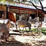 Dream of Africa Bush Lodge