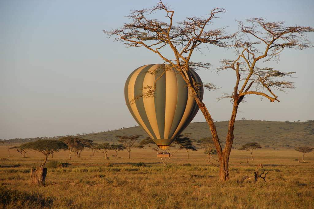 4DaysNgorongoro Crater safari