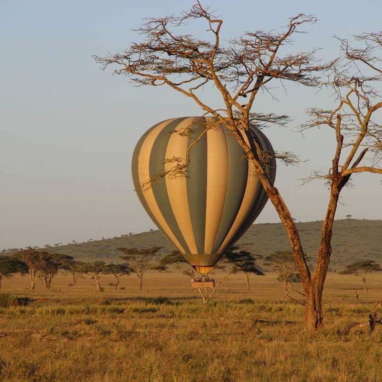 4DaysNgorongoro Crater safari