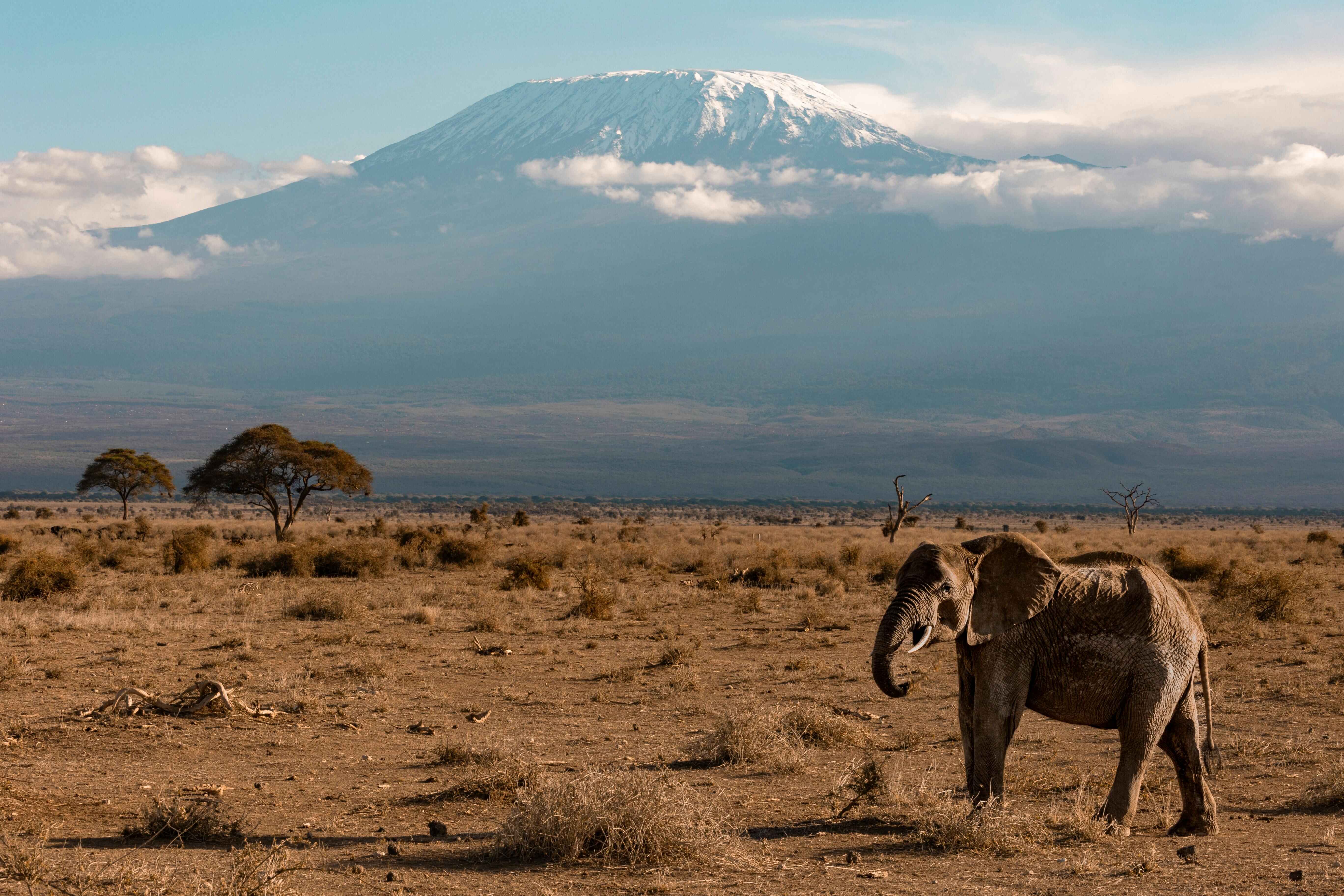 Kilimanjaro Travel and Tours