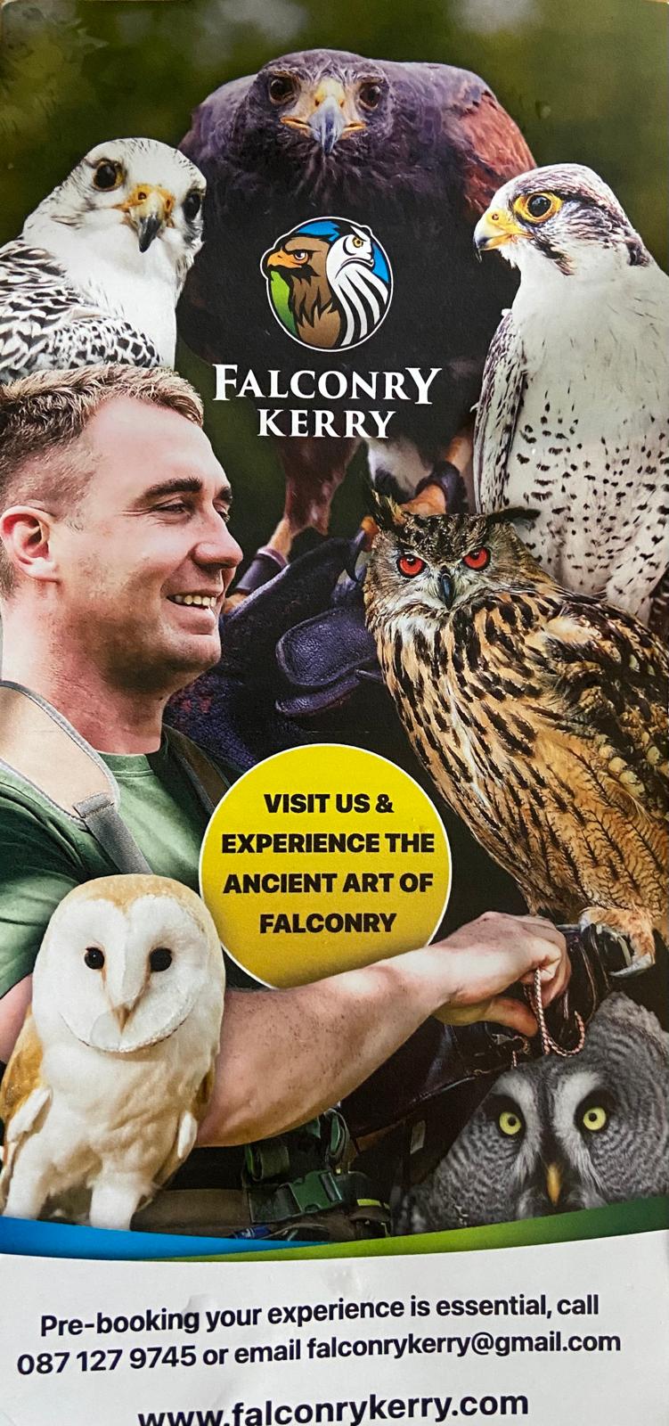 Falconry Kerry