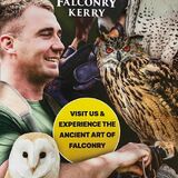 Falconry Kerry