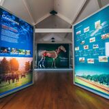 Fethard Horse Country