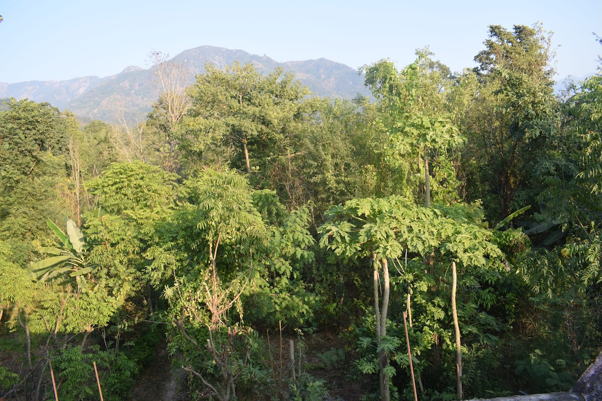 Creative Permaculture Learning