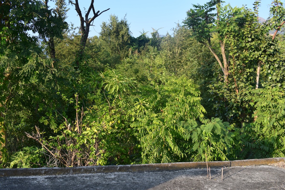 Creative Permaculture Learning