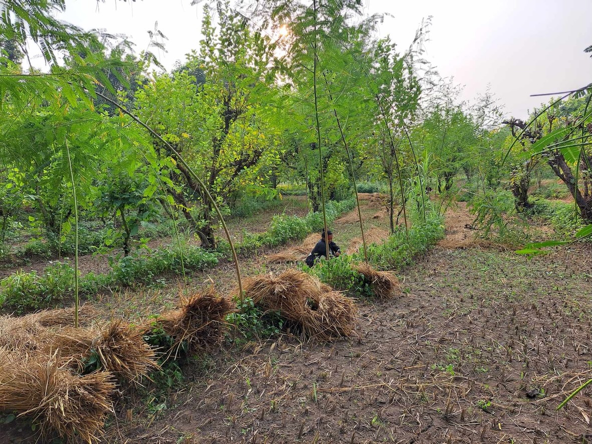 Creative Permaculture Learning
